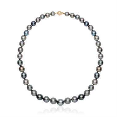 18ct Yellow Gold Tahiti Pearl Necklace thumbnail