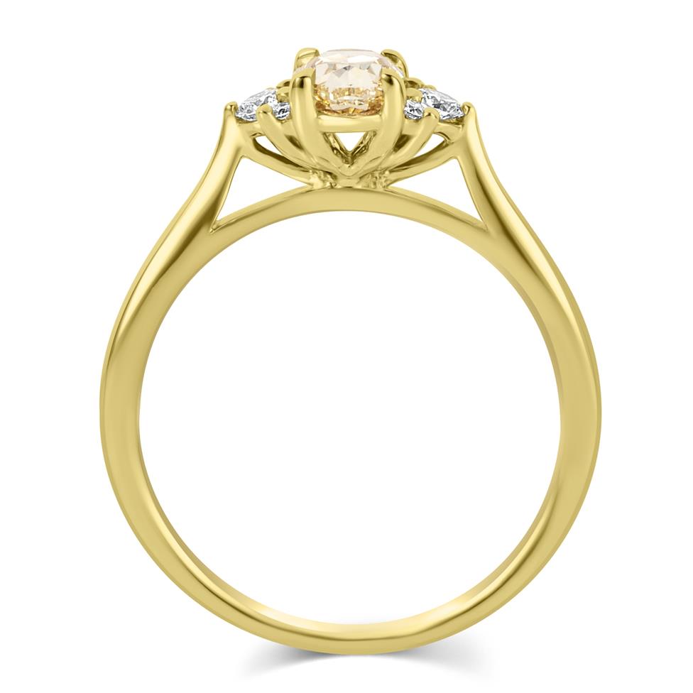 18ct Yellow Gold Oval Champagne Diamond Engagement Ring Thumbnail Image 3