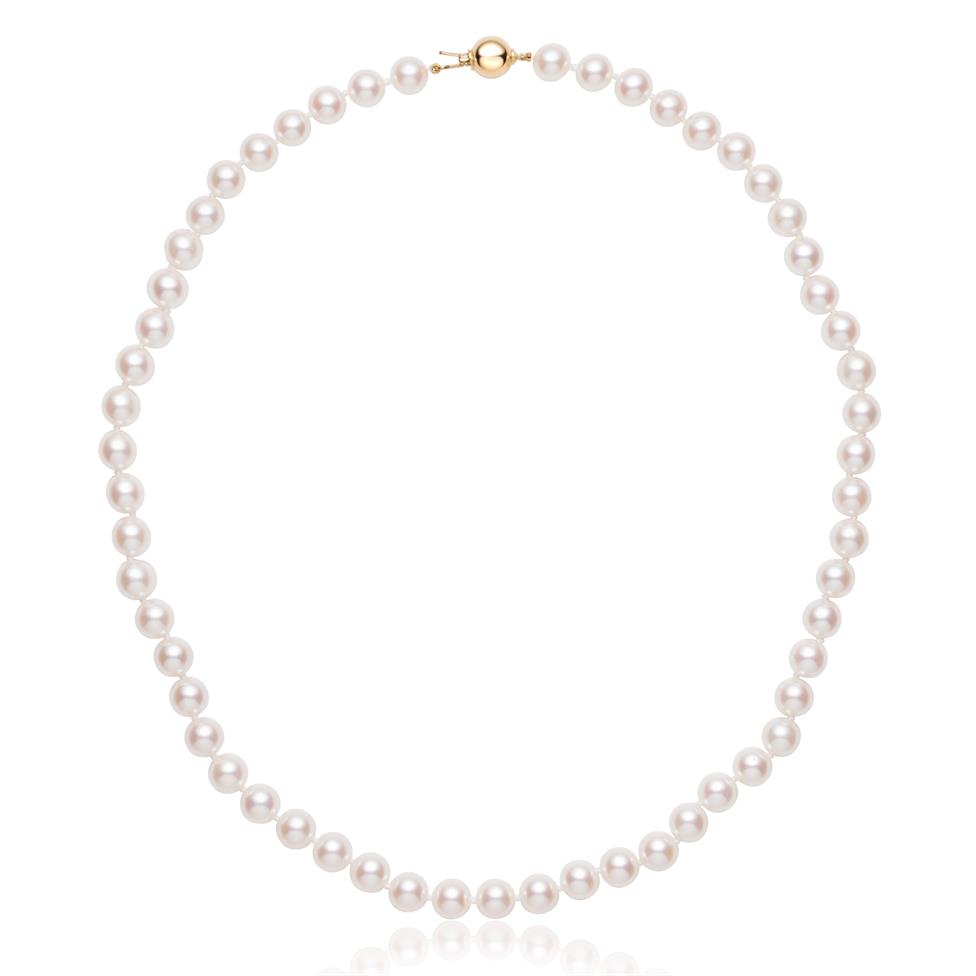 18ct Yellow Gold Akoya Pearl Necklace 7.0-7.5mm | 45cm Thumbnail Image 0