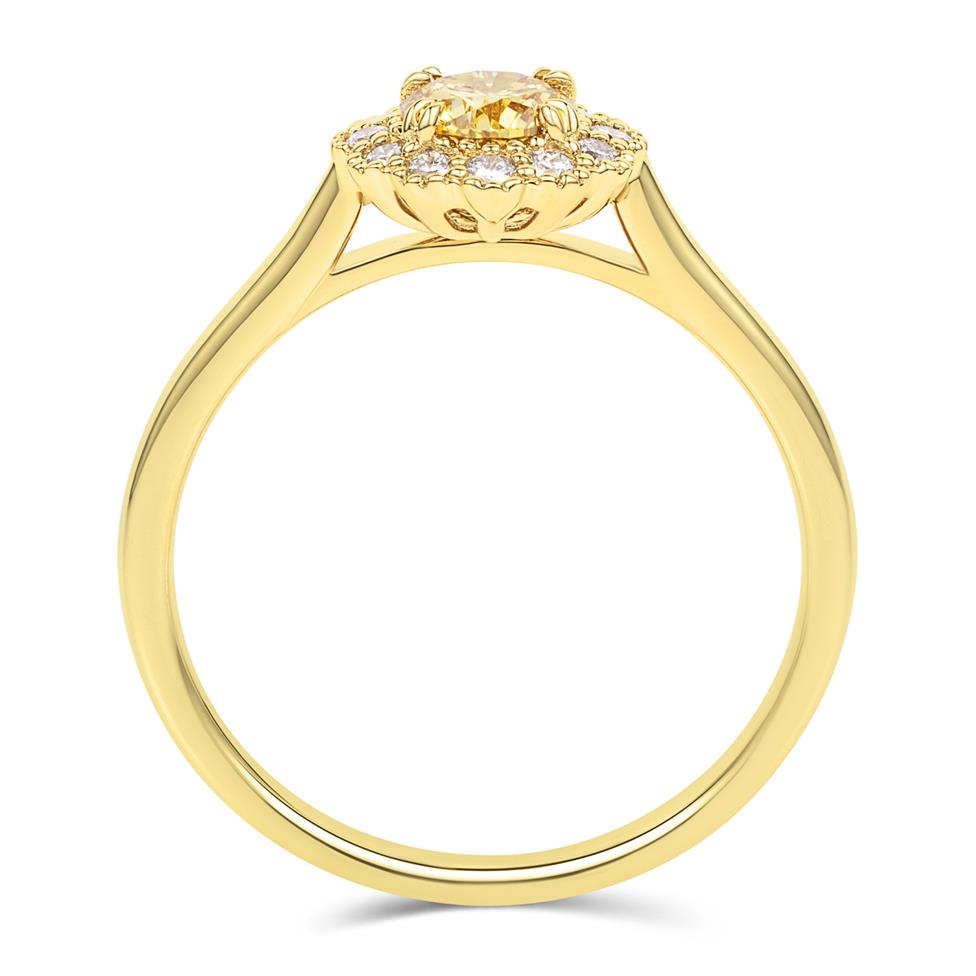 18ct Yellow Gold Round Fancy Colour Diamond Halo Ring Thumbnail Image 2